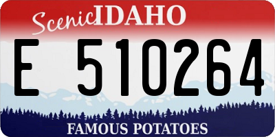 ID license plate E510264