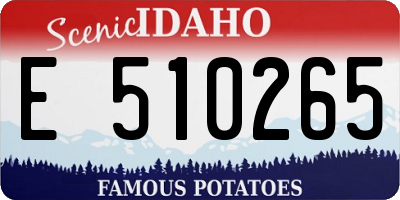 ID license plate E510265