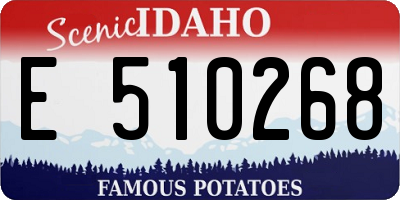ID license plate E510268