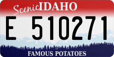 ID license plate E510271