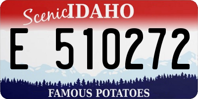 ID license plate E510272