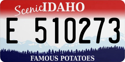 ID license plate E510273