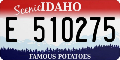 ID license plate E510275