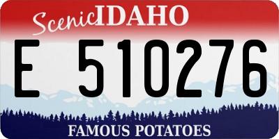 ID license plate E510276