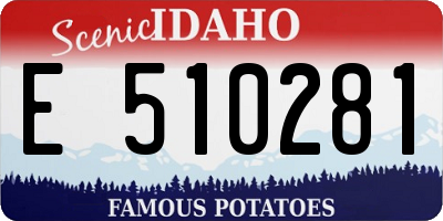 ID license plate E510281