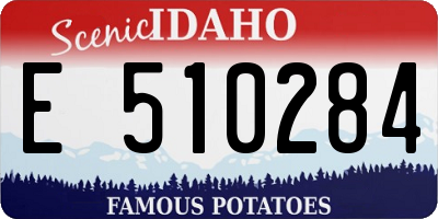 ID license plate E510284