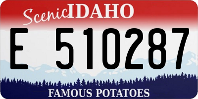 ID license plate E510287