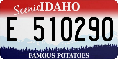 ID license plate E510290