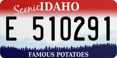 ID license plate E510291