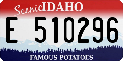 ID license plate E510296