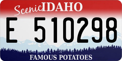 ID license plate E510298