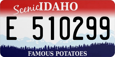 ID license plate E510299