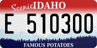 ID license plate E510300