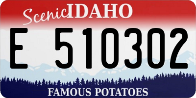 ID license plate E510302