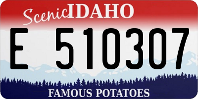 ID license plate E510307