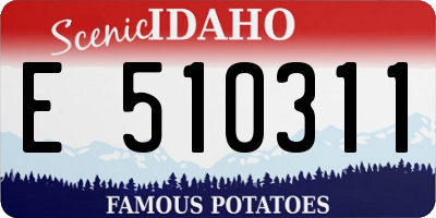 ID license plate E510311
