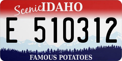ID license plate E510312
