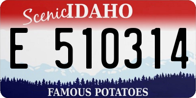 ID license plate E510314