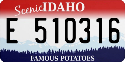ID license plate E510316