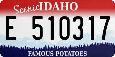 ID license plate E510317