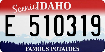 ID license plate E510319
