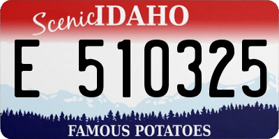 ID license plate E510325