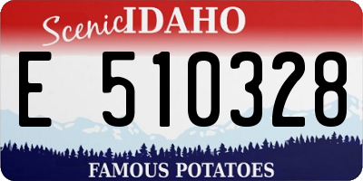 ID license plate E510328