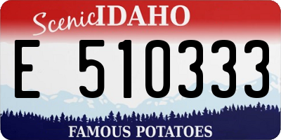 ID license plate E510333