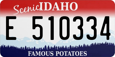 ID license plate E510334