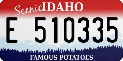 ID license plate E510335