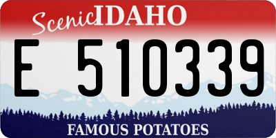 ID license plate E510339