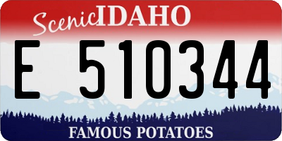 ID license plate E510344
