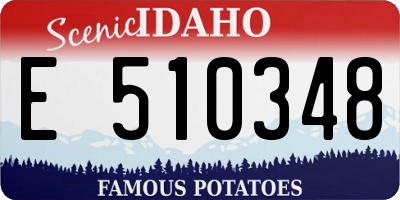 ID license plate E510348