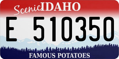 ID license plate E510350