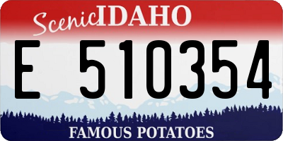 ID license plate E510354
