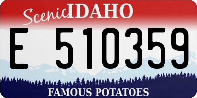 ID license plate E510359