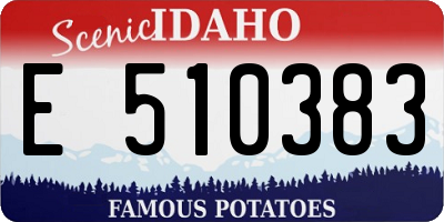 ID license plate E510383