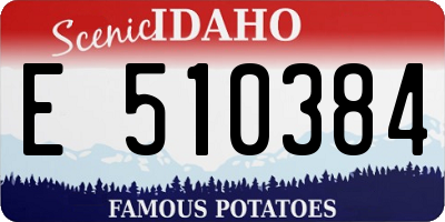 ID license plate E510384