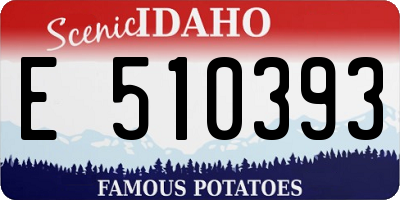 ID license plate E510393