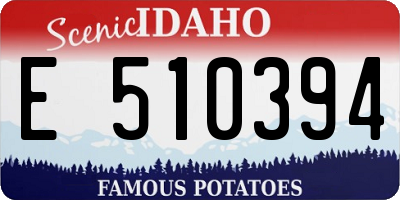 ID license plate E510394
