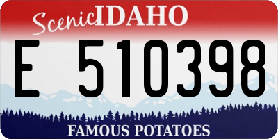 ID license plate E510398