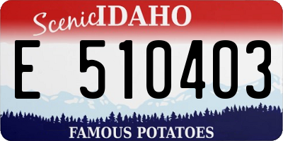 ID license plate E510403