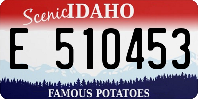 ID license plate E510453