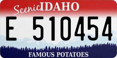 ID license plate E510454