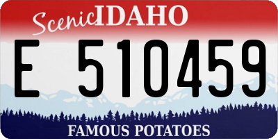 ID license plate E510459
