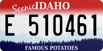 ID license plate E510461