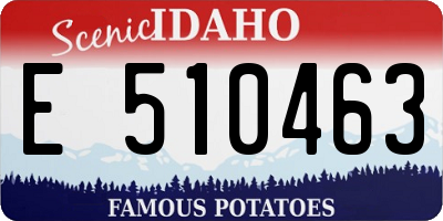 ID license plate E510463