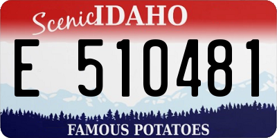 ID license plate E510481