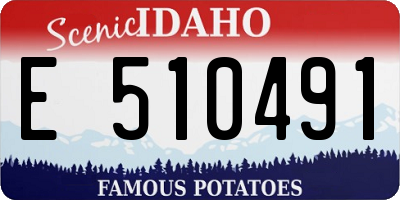 ID license plate E510491