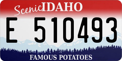 ID license plate E510493